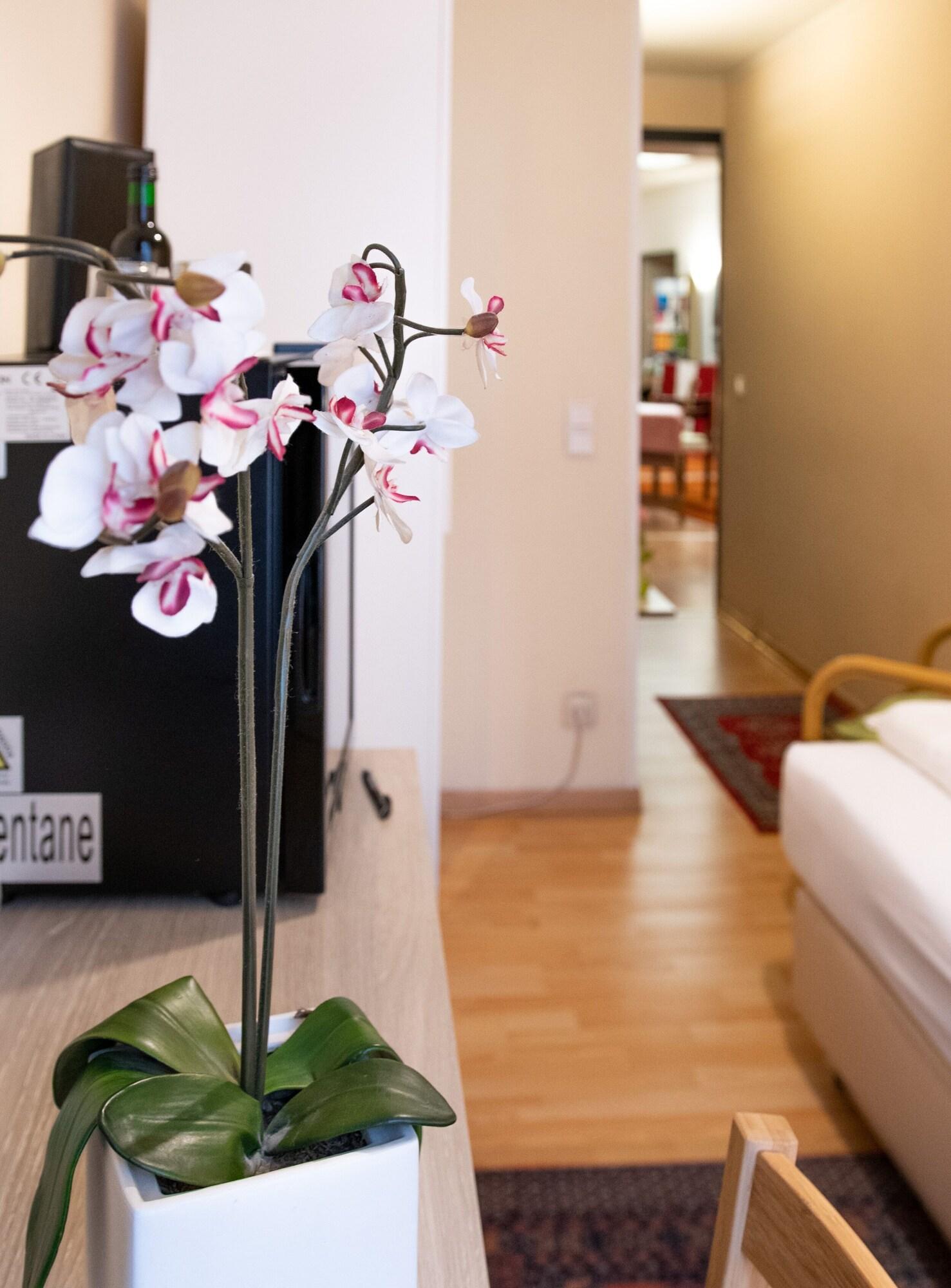 Mariahilf Bed & Breakfast Vienna